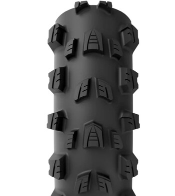 vittoria plasc mostro enduro 29×24 crna tlr ebikeready